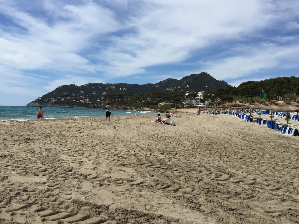 Canyamel Beach Стая снимка